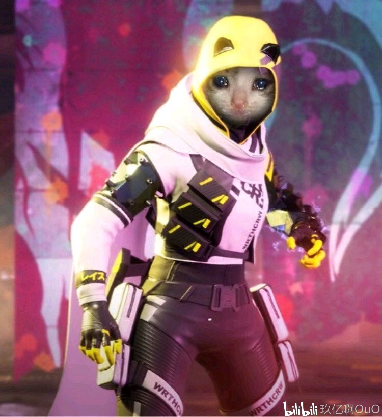 ay ay